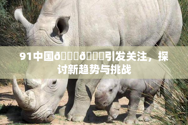 91中国🍆🍑引发关注，探讨新趋势与挑战