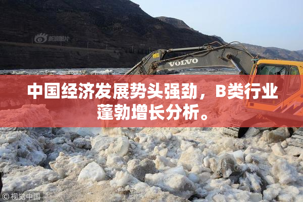 中国经济发展势头强劲，B类行业蓬勃增长分析。