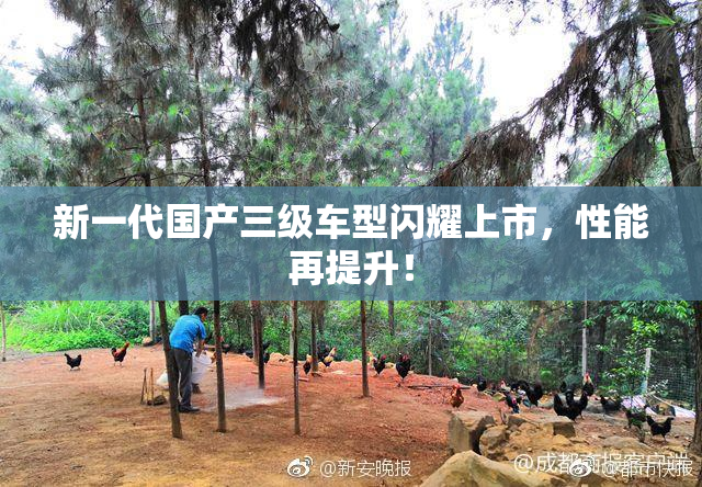 新一代国产三级车型闪耀上市，性能再提升！