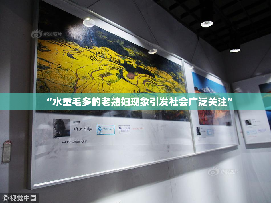 “水重毛多的老熟妇现象引发社会广泛关注”