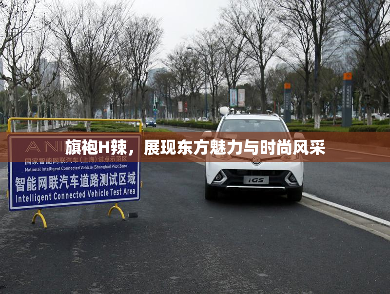 旗袍H辣，展现东方魅力与时尚风采