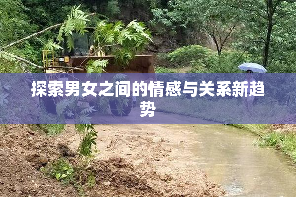 探索男女之间的情感与关系新趋势