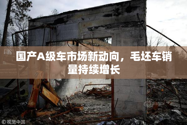 国产A级车市场新动向，毛坯车销量持续增长