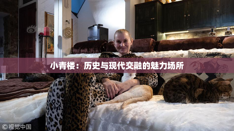 小青楼：历史与现代交融的魅力场所