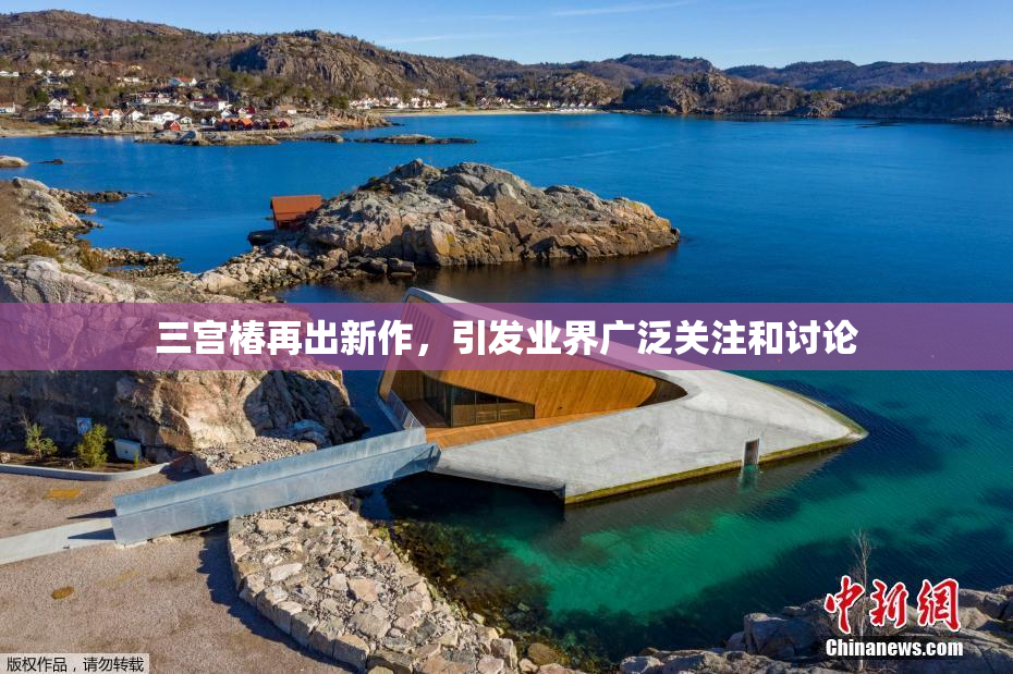 三宫椿再出新作，引发业界广泛关注和讨论
