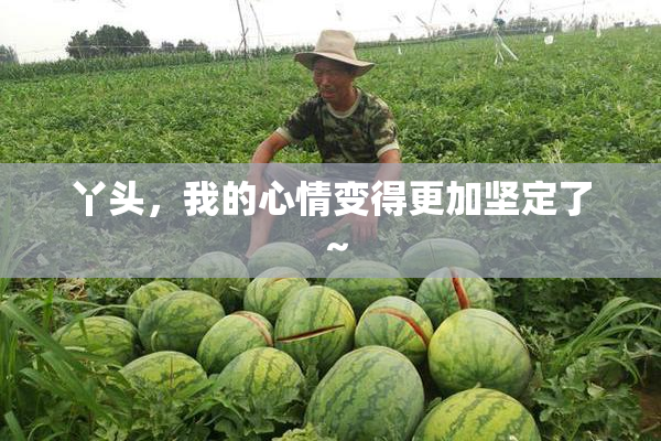 丫头，我的心情变得更加坚定了～