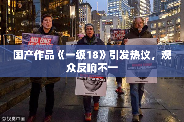 国产作品《一级18》引发热议，观众反响不一