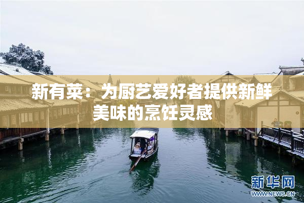 新有菜：为厨艺爱好者提供新鲜美味的烹饪灵感