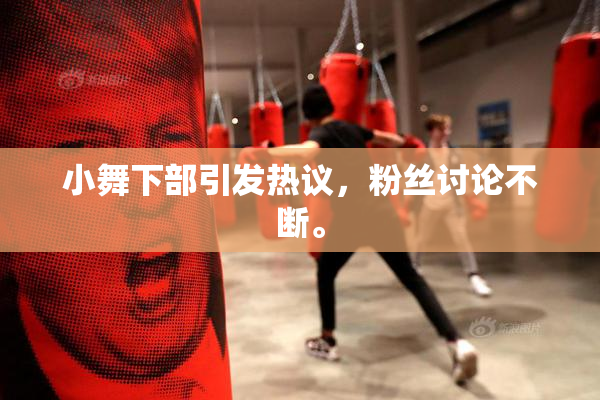 小舞下部引发热议，粉丝讨论不断。