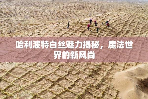哈利波特白丝魅力揭秘，魔法世界的新风尚