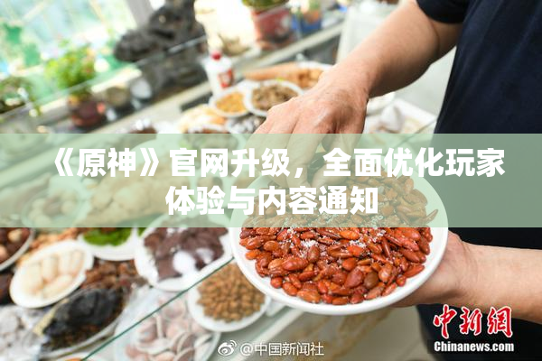 《原神》官网升级，全面优化玩家体验与内容通知