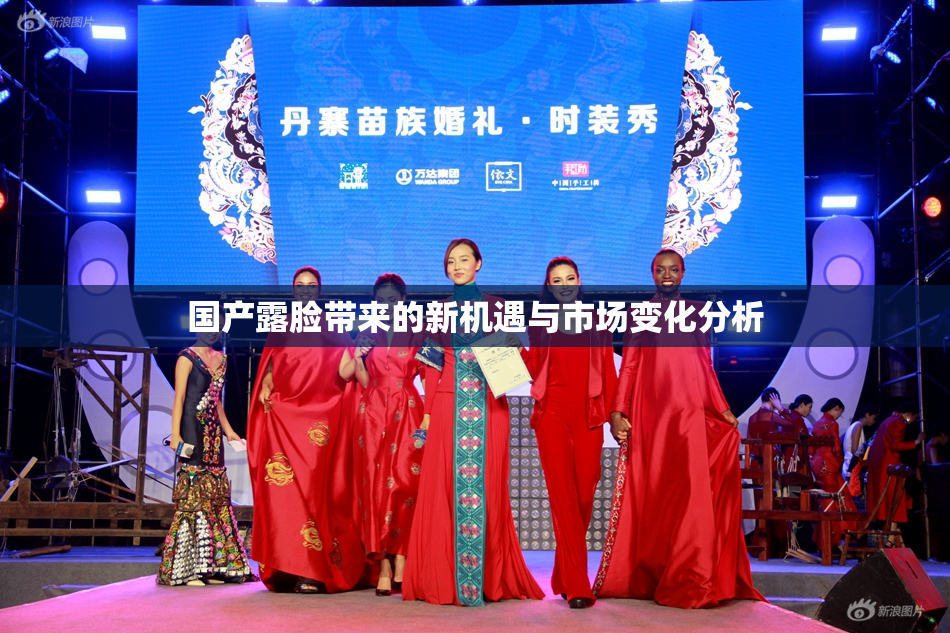 国产露脸带来的新机遇与市场变化分析
