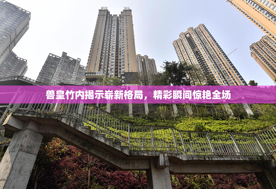 兽皇竹内揭示崭新格局，精彩瞬间惊艳全场