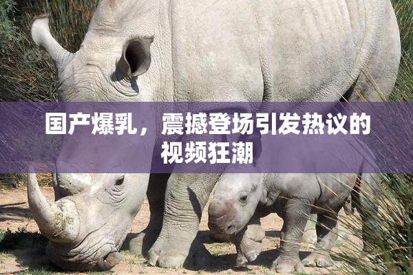 国产爆乳，震撼登场引发热议的视频狂潮
