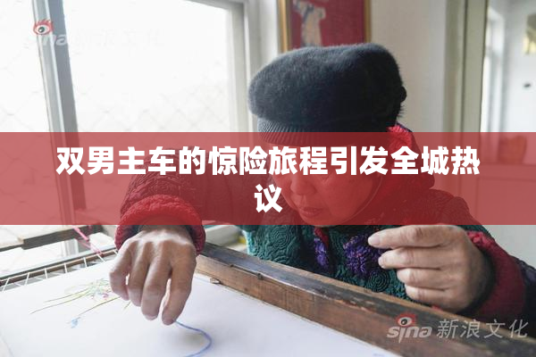 双男主车的惊险旅程引发全城热议