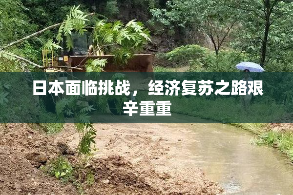 日本面临挑战，经济复苏之路艰辛重重