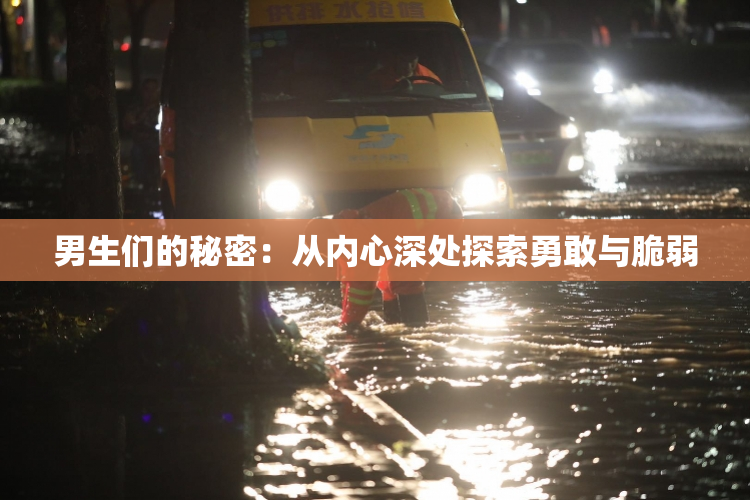 男生们的秘密：从内心深处探索勇敢与脆弱