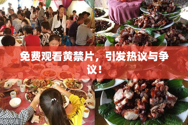 免费观看黄禁片，引发热议与争议！