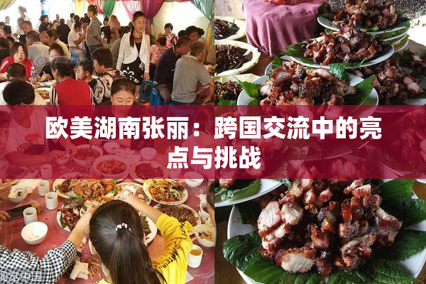 欧美湖南张丽：跨国交流中的亮点与挑战