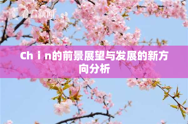 Chⅰn的前景展望与发展的新方向分析