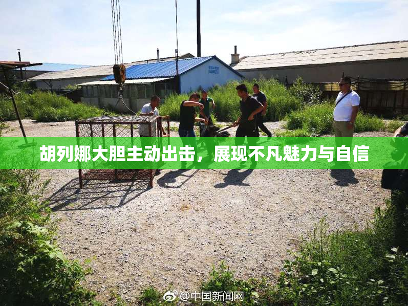 胡列娜大胆主动出击，展现不凡魅力与自信