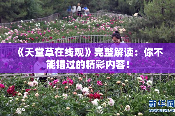 《天堂草在线观》完整解读：你不能错过的精彩内容！