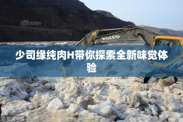 少司缘纯肉H带你探索全新味觉体验