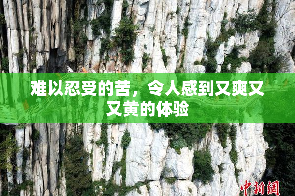难以忍受的苦，令人感到又爽又又黄的体验