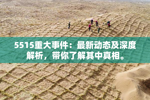 5515重大事件：最新动态及深度解析，带你了解其中真相。