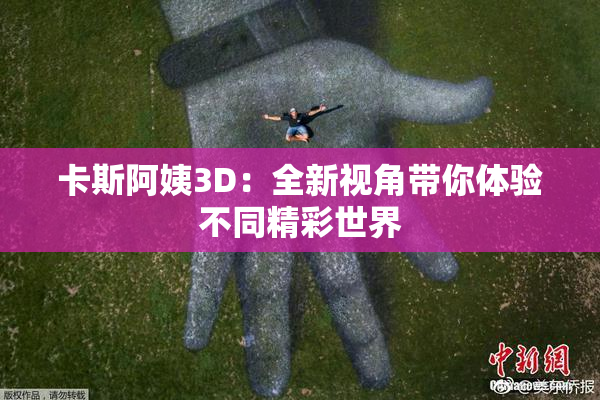 卡斯阿姨3D：全新视角带你体验不同精彩世界