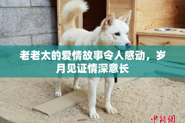 老老太的爱情故事令人感动，岁月见证情深意长