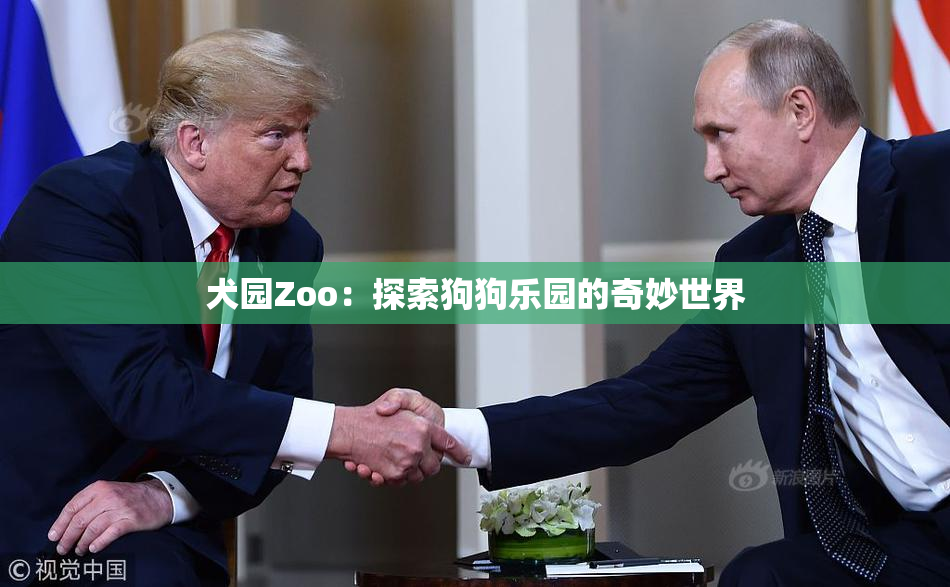 犬园Zoo：探索狗狗乐园的奇妙世界