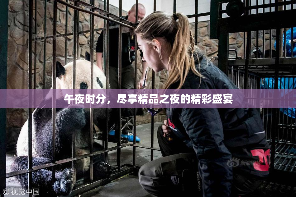 午夜时分，尽享精品之夜的精彩盛宴