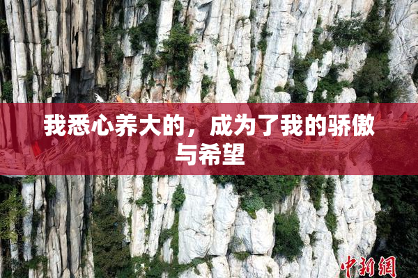 我悉心养大的，成为了我的骄傲与希望