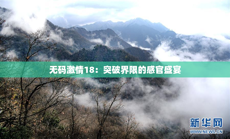无码激情18：突破界限的感官盛宴