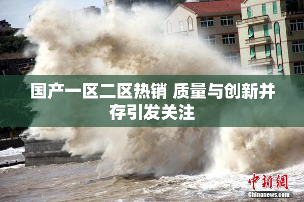 国产一区二区热销 质量与创新并存引发关注