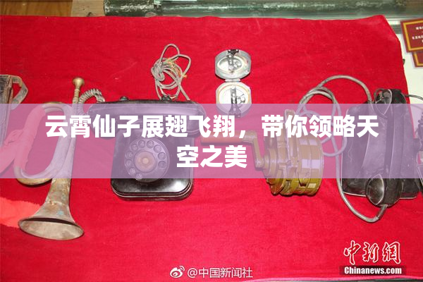 云霄仙子展翅飞翔，带你领略天空之美