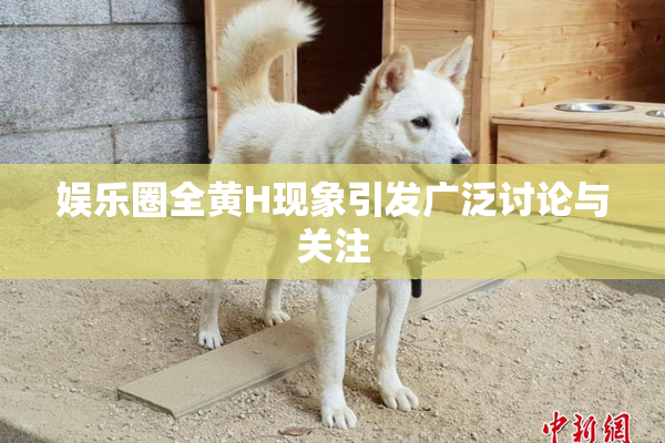 娱乐圈全黄H现象引发广泛讨论与关注