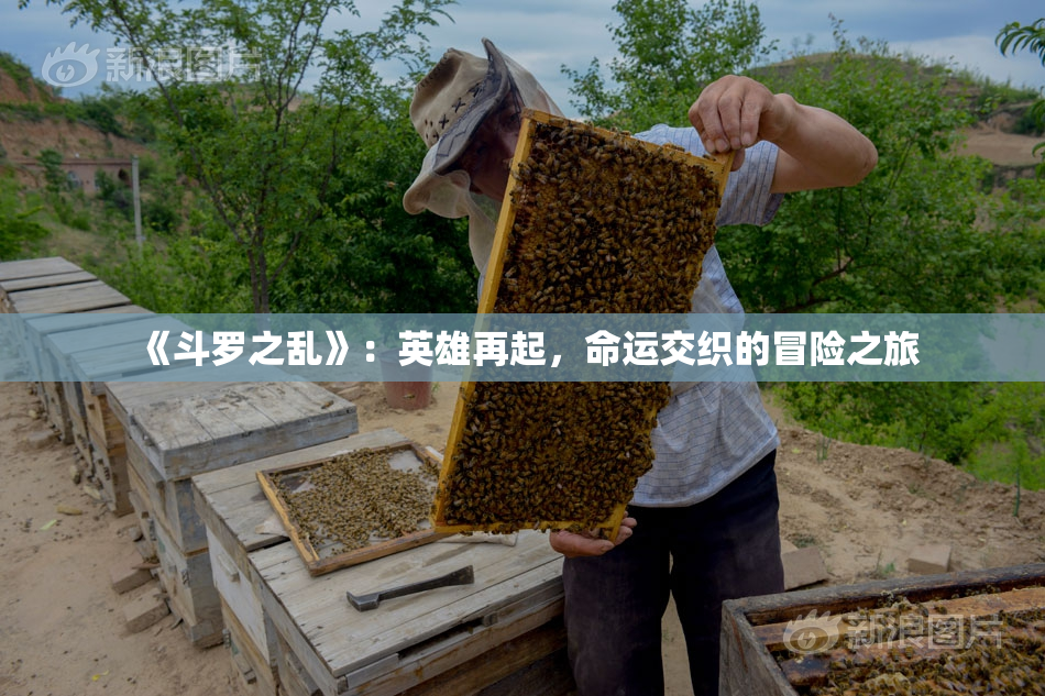《斗罗之乱》：英雄再起，命运交织的冒险之旅