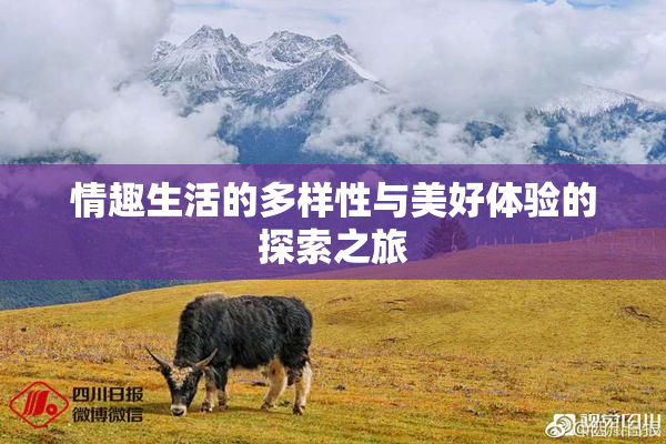 情趣生活的多样性与美好体验的探索之旅