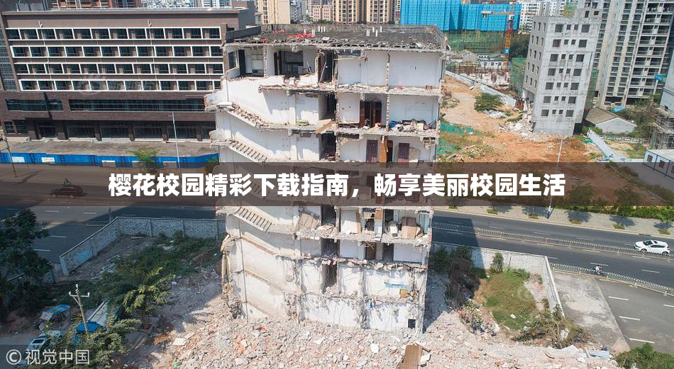 樱花校园精彩下载指南，畅享美丽校园生活