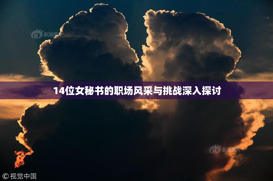 14位女秘书的职场风采与挑战深入探讨