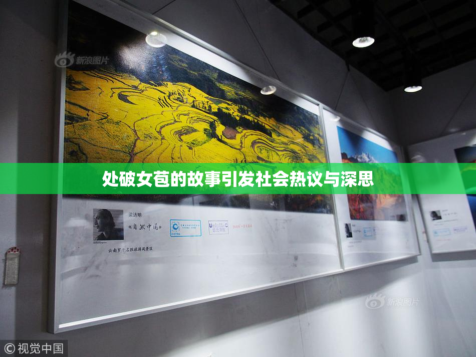 处破女苞的故事引发社会热议与深思