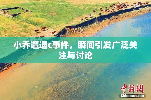 小乔遭遇c事件，瞬间引发广泛关注与讨论