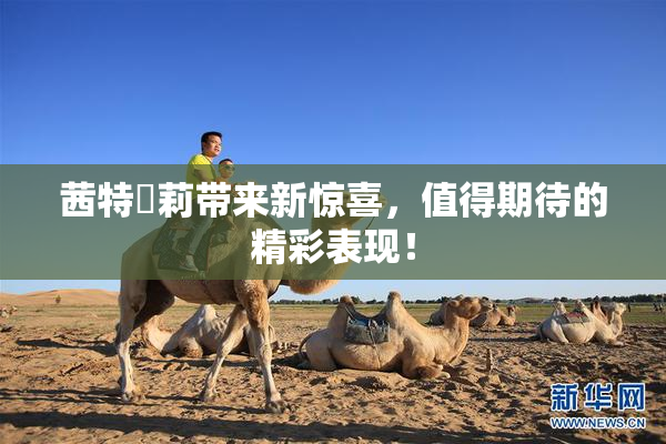 茜特菈莉带来新惊喜，值得期待的精彩表现！