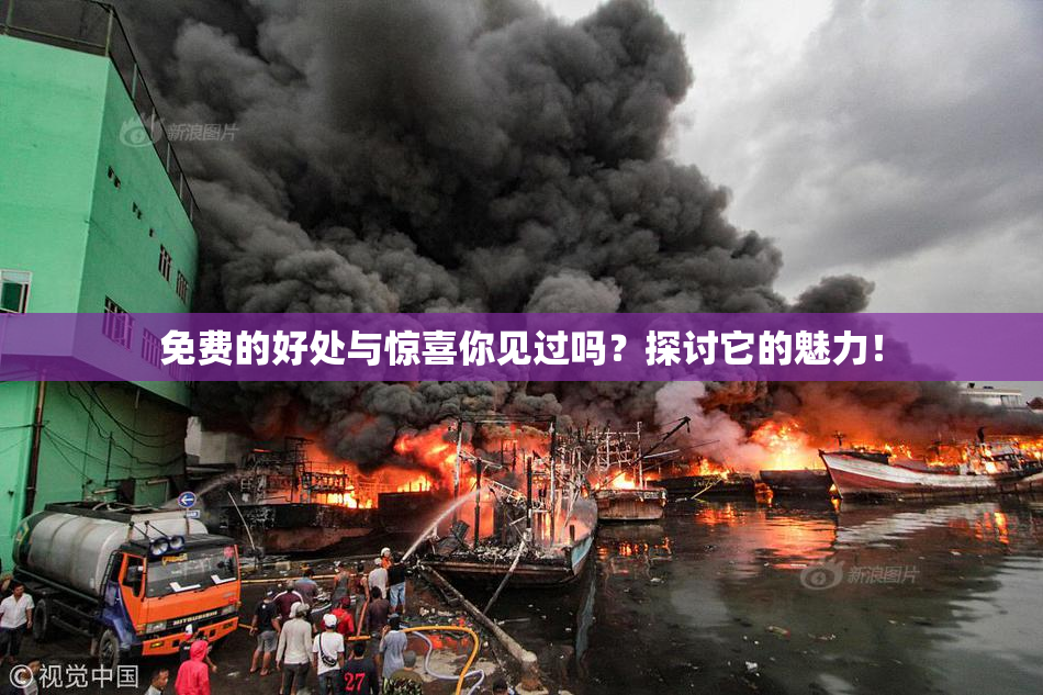 免费的好处与惊喜你见过吗？探讨它的魅力！