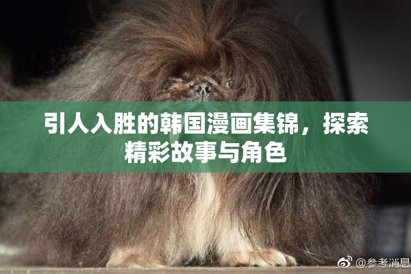 引人入胜的韩国漫画集锦，探索精彩故事与角色