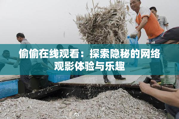 偷偷在线观看：探索隐秘的网络观影体验与乐趣
