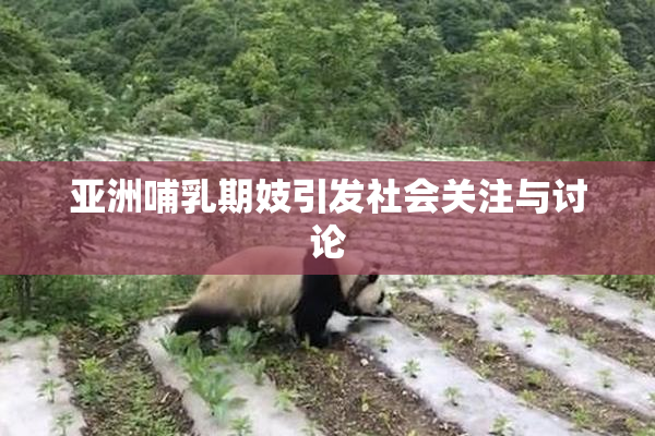 亚洲哺乳期妓引发社会关注与讨论