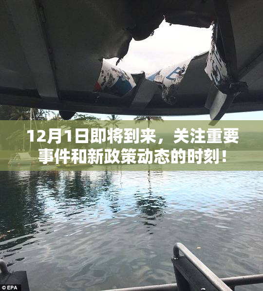 12月1日即将到来，关注重要事件和新政策动态的时刻！